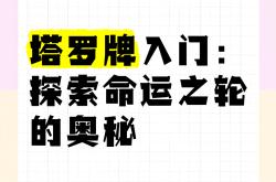 开云体育app-竞技赛场的背后故事，球队胜败乃命运之奥秘