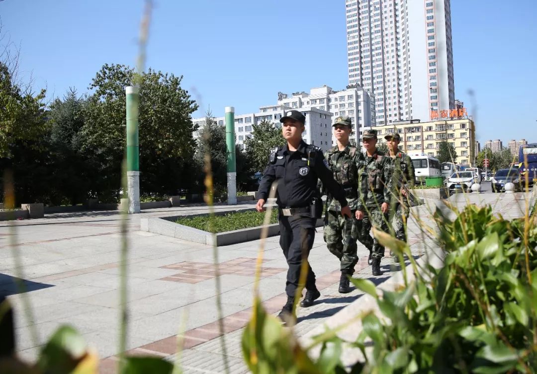 关于瑞典球队意气风发，谱写辉煌篇章的信息
