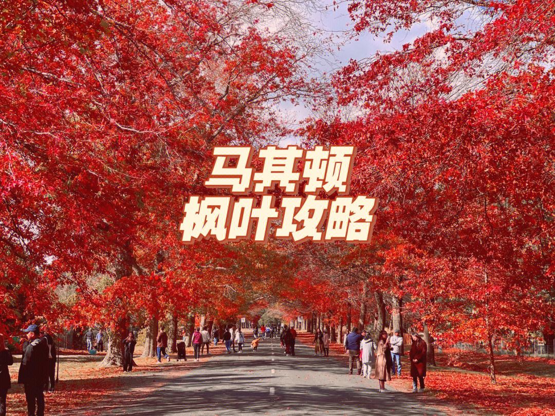 马其顿主场战胜蒙古，晋级之路何去何从？的简单介绍