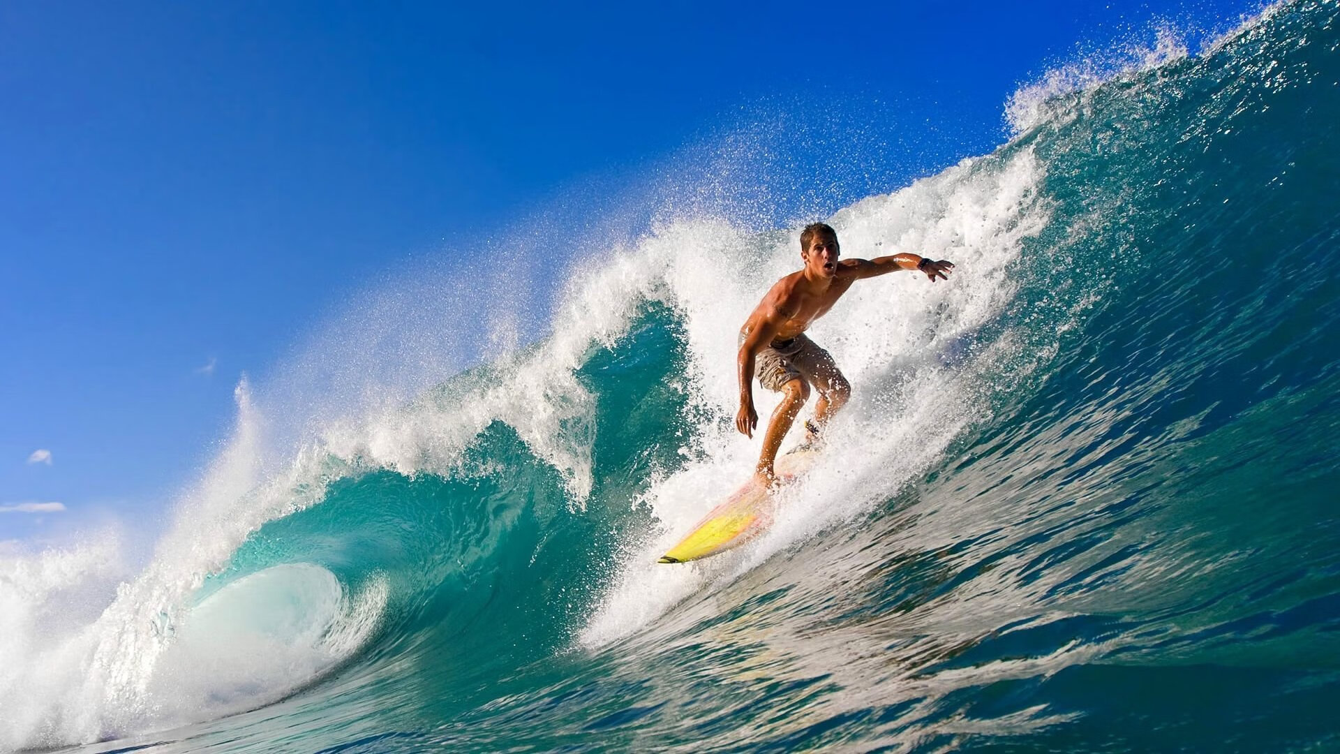 乒乓世界的新纪元，当日本旋风遇见日耳曼烈焰